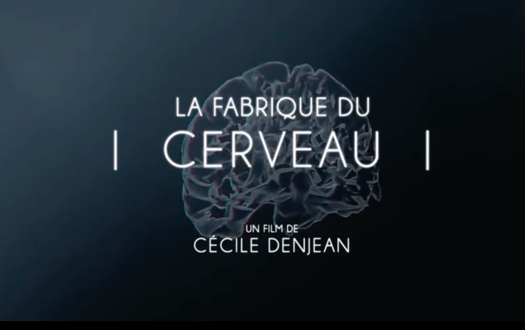 Capture d'écran du film