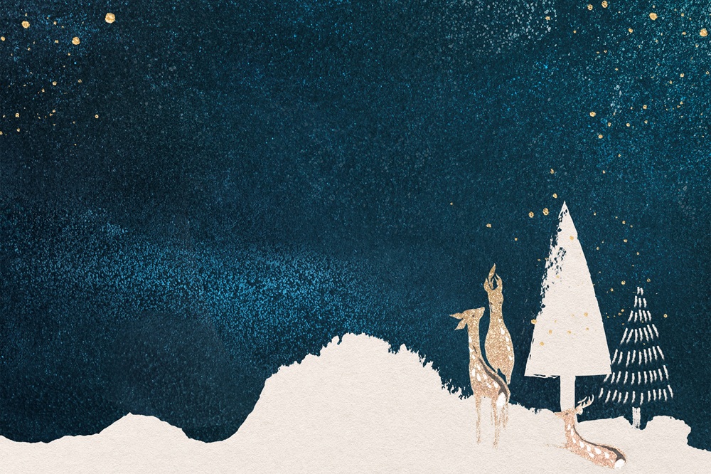 Fond nuit hiver