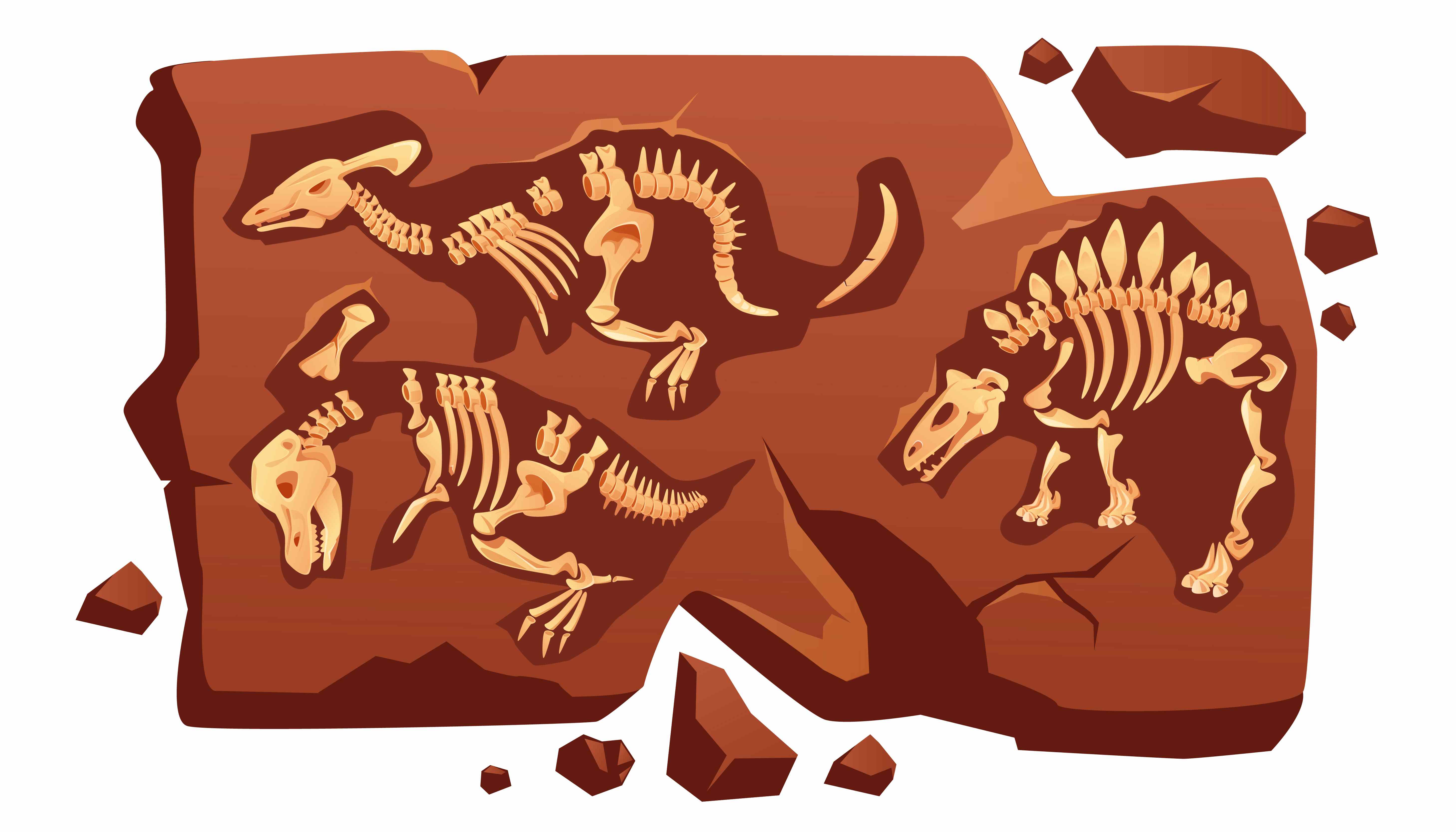 ossements dinosaures