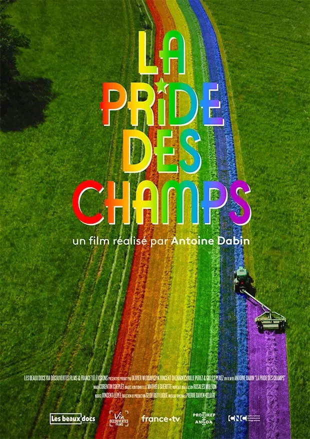 Champ multicolore