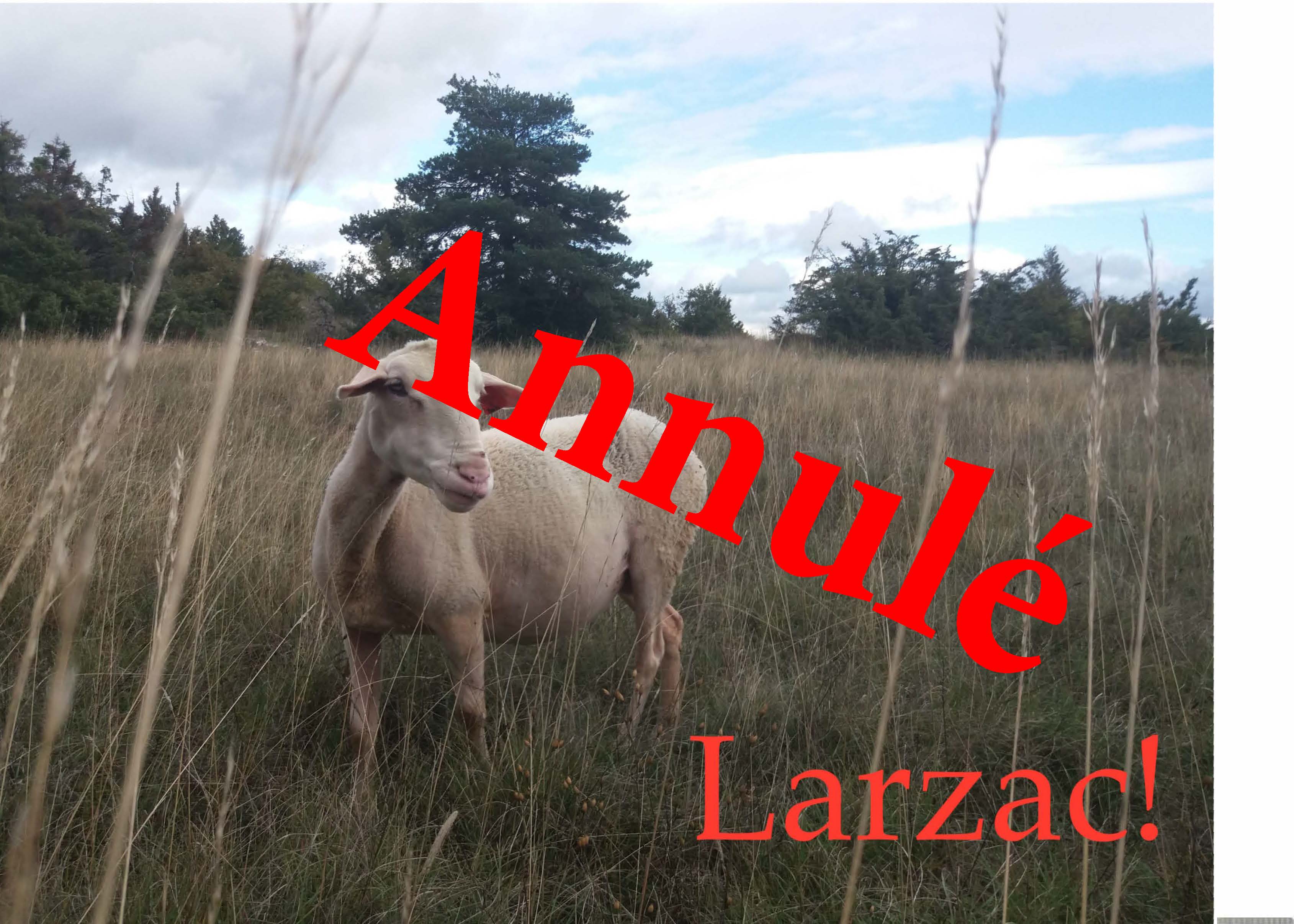 Annulation